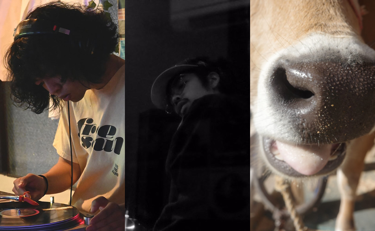 ueue / talowkyn / Yeast